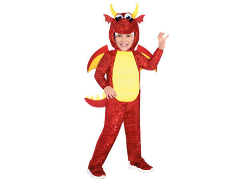 Dragon Costume