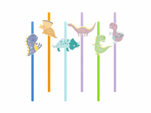 Drinking Straws - 6 pcs