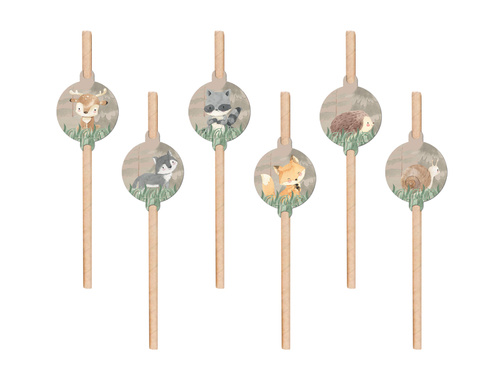 Forest Animals straws - 6 pcs