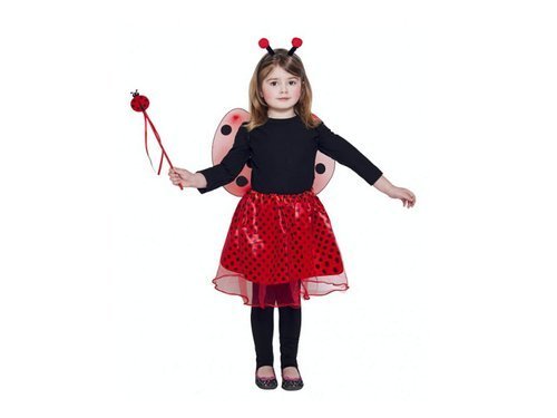 Little Ladybug Set - skirt, wings, headpiece, wand