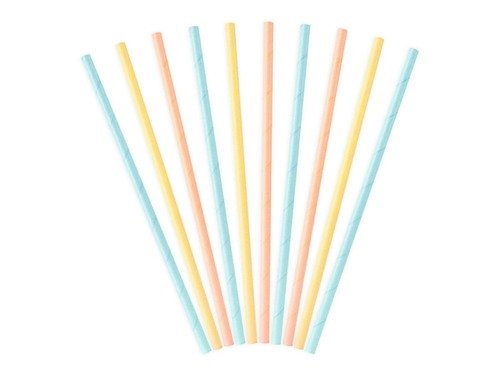 Paper Straws Summer time - 19.5 cm - 10 pcs