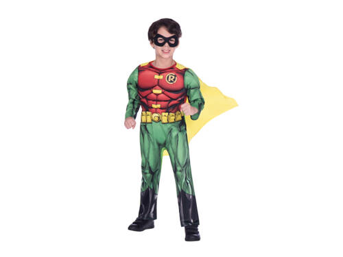 Robin Costume