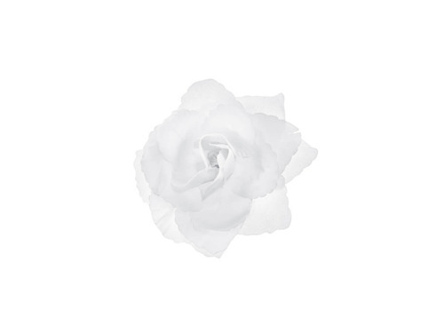 Roses, self-adhesive, white - 9 cm - 24 pcs