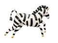 Foil Balloon Zebra - 115 x 85 cm