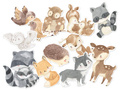 Forest Animals cutouts - 12 pcs