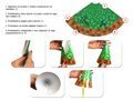 Happy Dinosaurs Party Hats - 6 pcs