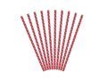 Paper Straws red - 19.5 cm - 10 pc