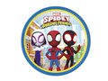 Spiderman birthday plates - 23 cm - 8 pcs.