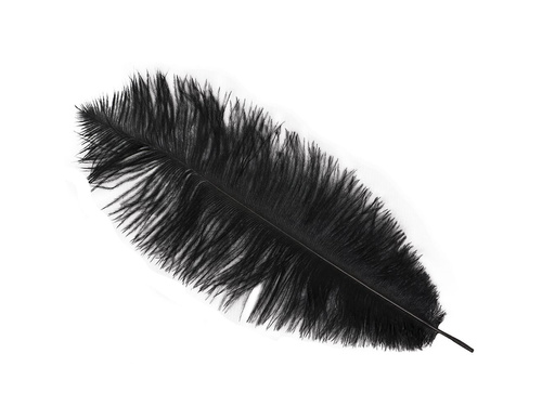 Ostrich Feather Black Big 30 cm