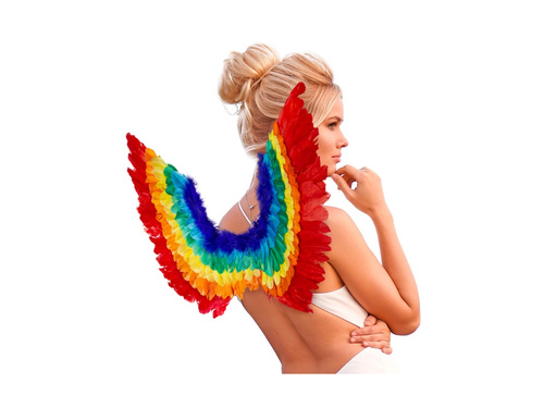 Tęczowe skrzydła z piór 60×40 cm