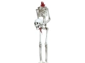 Skeleton 159 cm