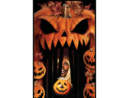Door decoration with curtain - 145 x 240 cm