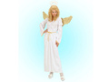 Angel Costume