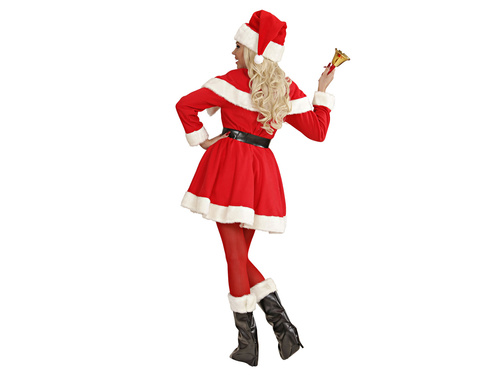 Ladies Costume Santa
