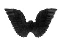 Angel wings black