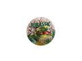 Dinosaurs stickers - 16 pcs.