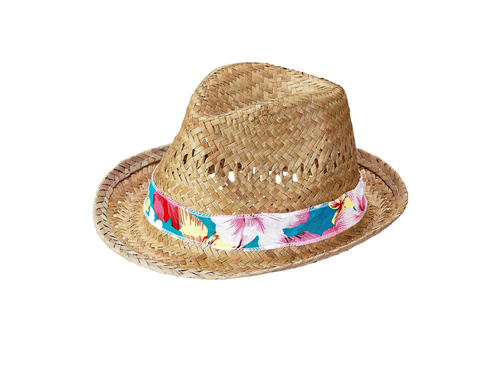 Beach boys straw fedora