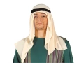Joseph costume for a man - green