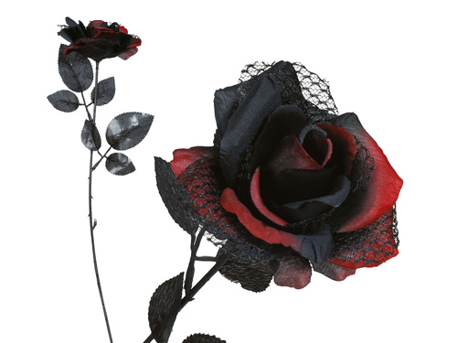 Black Rose 42 cm