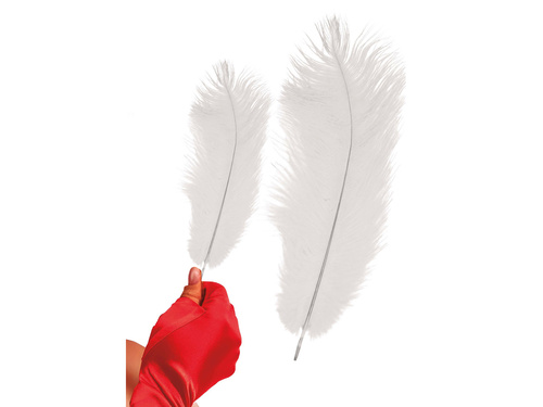 Feathers - 30 cm - 1 pc
