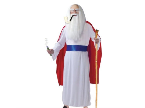 Druidess costume