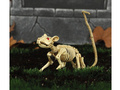 Rat Skeleton 20 cm - 1 pc