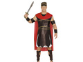 Roman Warrior Costume
