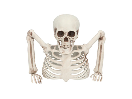 Dekoracja zewnętrzna Szkielet na Halloween - 1 szt.