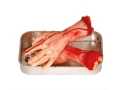 Amputated bloody arm