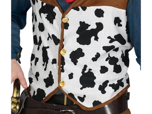 Cowboy costume