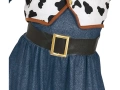 Musketeer costume