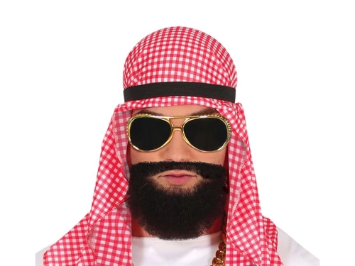 Petro dollar shail Costume