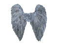 Angel wings grey 65 x 65
