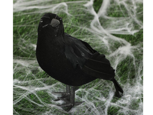 Black crow - 25 cm - 1 pc