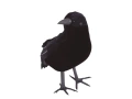 Black crow - 25 cm - 1 pc