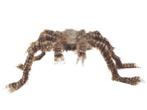 Hairy Spider 50 x 70 cm
