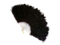 Black feather fan