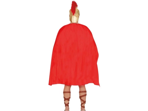 Roman Warrior Costume