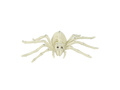 Spider skeleton - 24 cm - 1 pc.