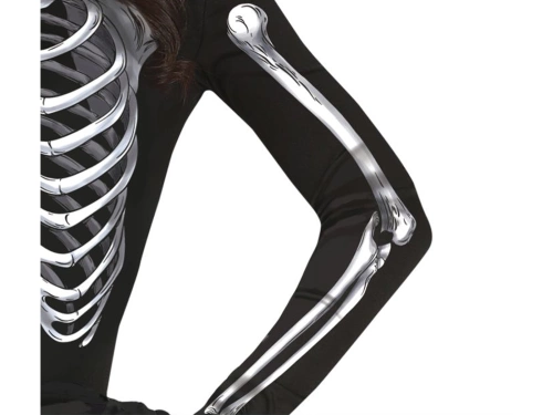 Adult Skeleton