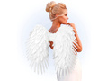 Angel wings white - 65 x 65 cm