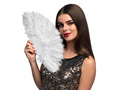 White feather fan