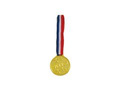 Winner's Medal - 24 pcs.