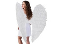 Angel wings white 120 x 120