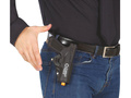 Gun with holster