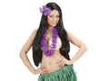 Hibiscus purple - 1 pc