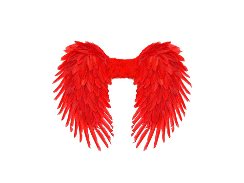 Czerwone składane skrzydła z piór 80×60 cm