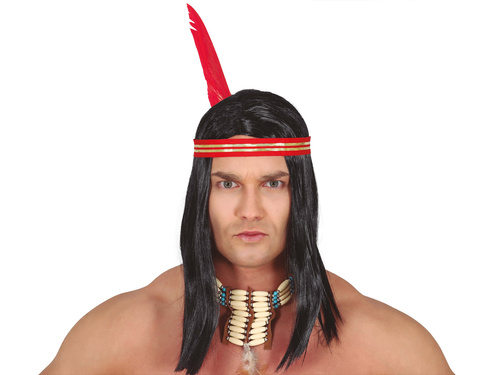 Indian Wig with feather