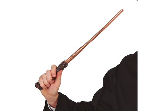 Harry Potter's Wand