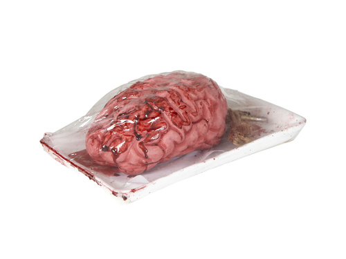 Brain - 1 pc